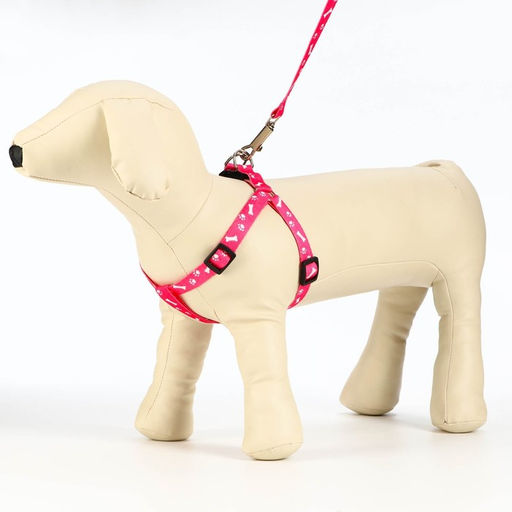 Комплект капроновый Косточки и лапки, поводок 120 х 1,5 см, ОГ 30-44 см, розовый - Пижон фото 3