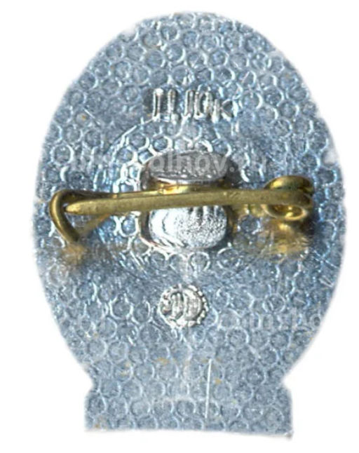 Значок А.С.Пушкин