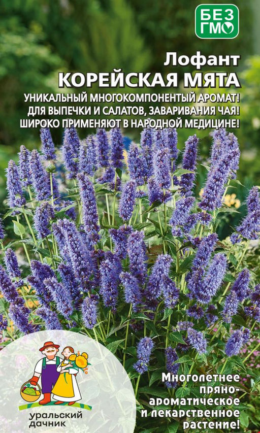 Лофант КОРЕЙСКАЯ МЯТА Уникальный многокомпонентый аромат! Для выпечки и салатов, заваривания чая! Широко применяют в народной медицине!