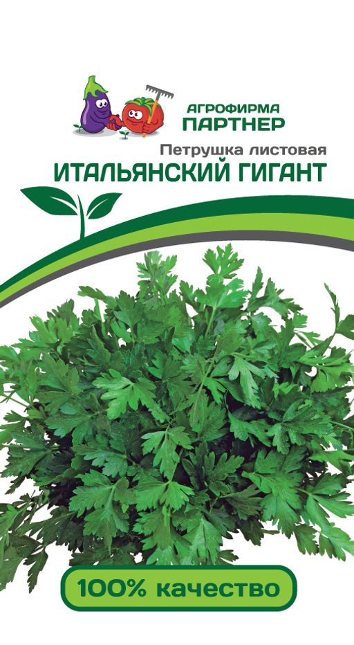 Петрушка листовая Итальянский гигант