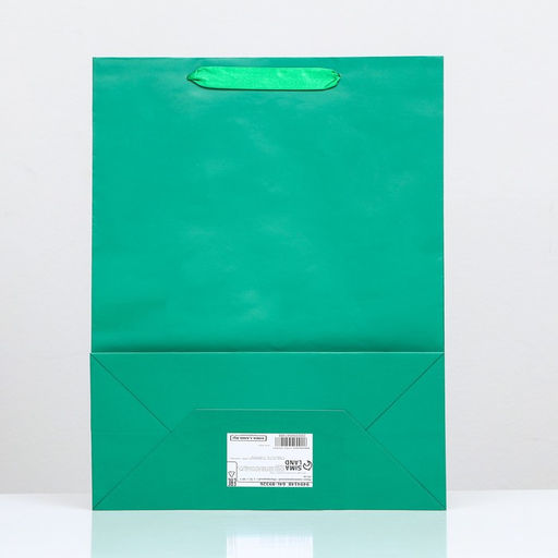 Пакет подарочный ламинированный «Зелёный», 31×40×14 см