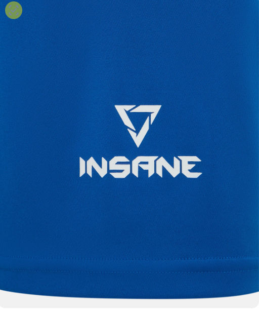 Шорты боксерские INSANE RBF IN25-BF800-K, синий  фото 3