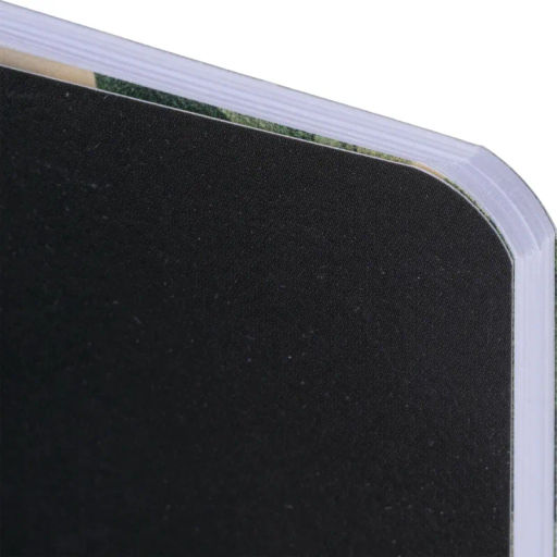 Тетрадь общая, BS, 150х210мм, 48л., клетка, скрепка. Flora, черный N4138