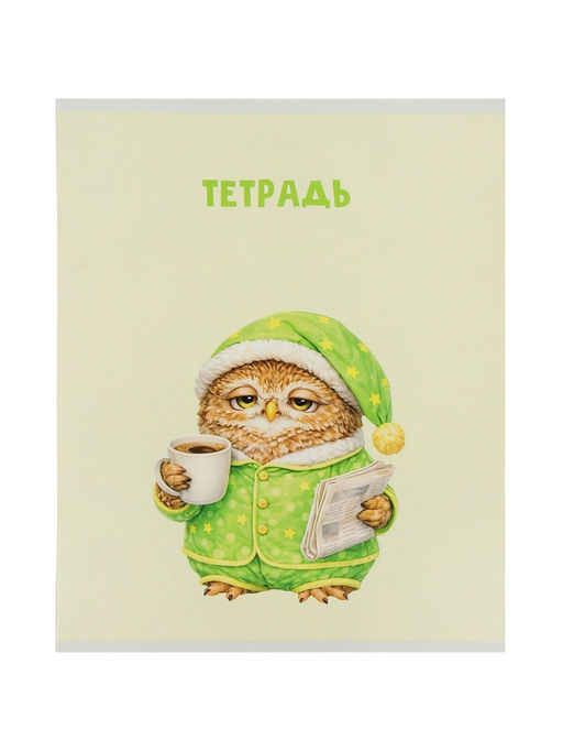 Набор тетрадей из 5 штук, 36 листов в клетку Calligrata «Совушки», блок офсет, 5 видов