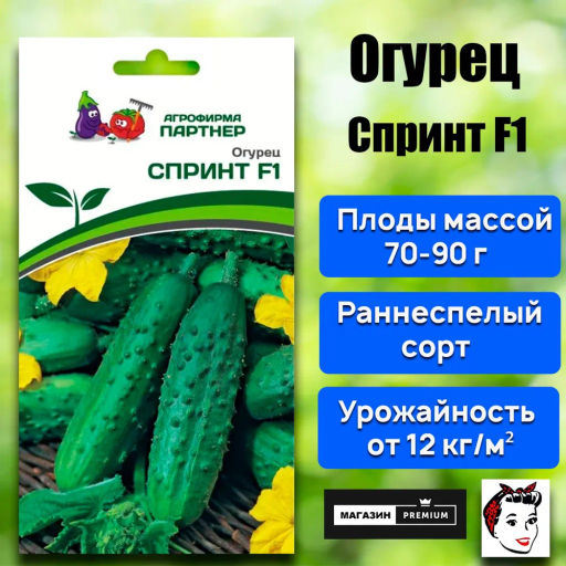 Огурец пчелоопыляемый Спринт - Партнер фото 2
