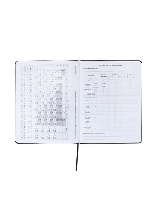 Дневник школьный 1-11 класс, deVENTE. Bee, ляссе, искусственная кожа, черный