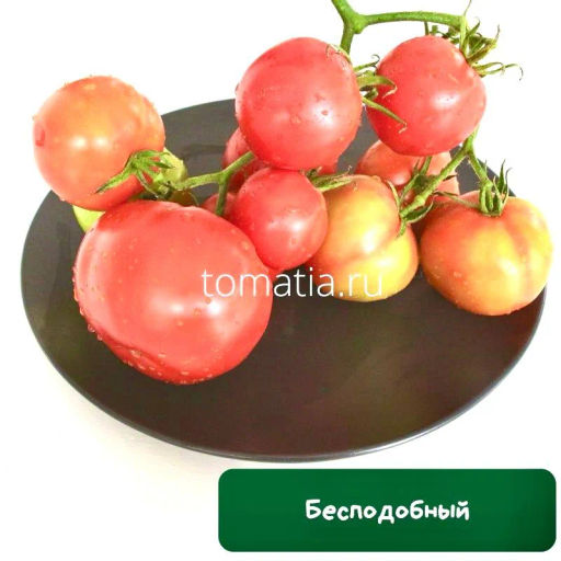 Бесподобный