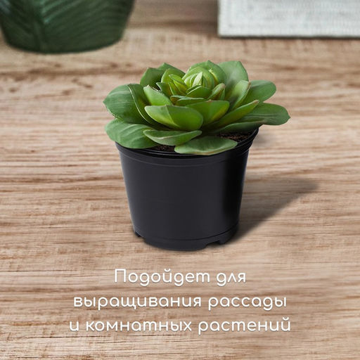 Цена за 50 шт. Горшок для рассады, 750 мл, d=12 см, h=10.5 см, чёрный, Greengo  фото 3