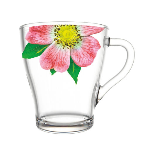 Кружка 250мл "Живая природа" в ассортименте арт. 1649-Д