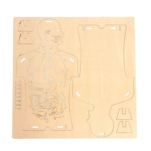 Набор для опытов Строение тела, 24 элемента, в пакете - Эврики фото 4