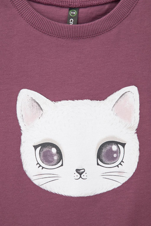 КР 302252/амарант к431 фуфайка для дев