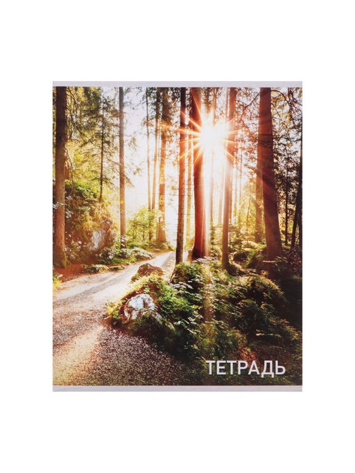 Набор тетрадей, 96 листов в клетку, Calligrata Природа, серые листы, 4 штуки  фото 9