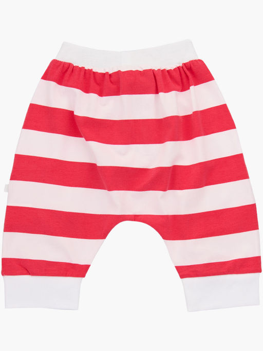 Бриджи в полосу UD 0164 красный - Mini maxi фото 2