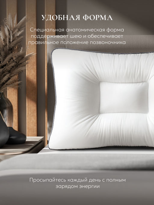 Подушка "QUADRO DeLux 3000 3D", 50х70, ЕС-4271