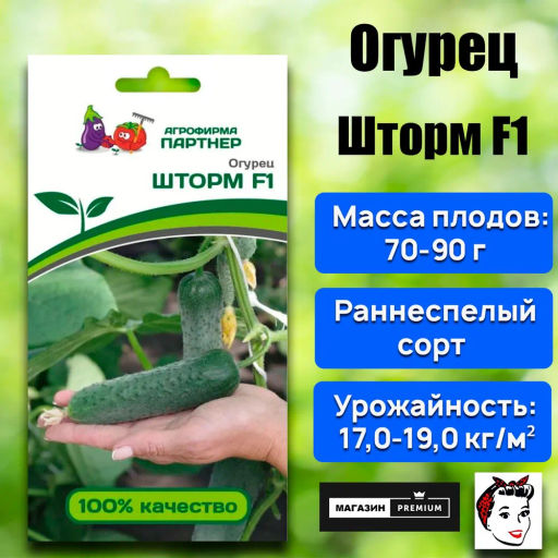 Огурец партенокарпический Шторм - Партнер фото 2