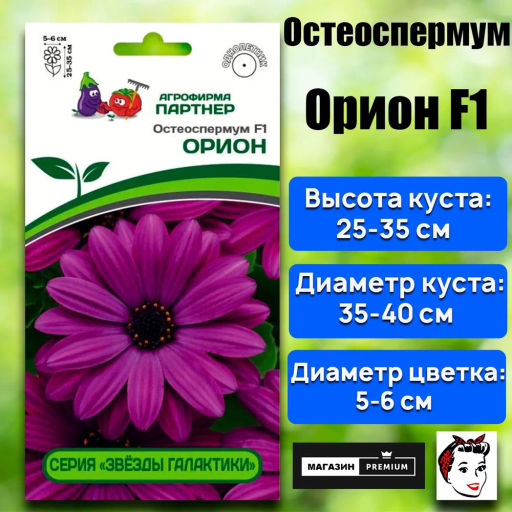 Остеоспермум Эклона Звезды Галактики Орион - Партнер фото 2