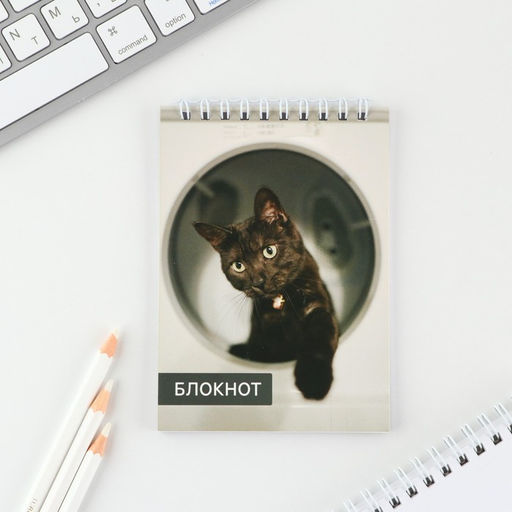 Цена за 8 шт. МИКС блокнотов А6, 40 л на гребне, мягкая обложка Животные - Artfox фото 13