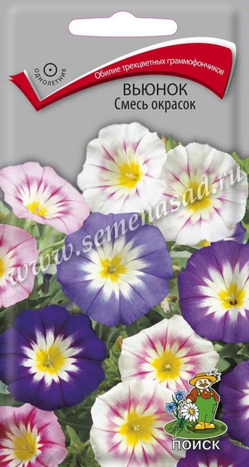Вьюнок Смесь окрасок (ЦВ) (1) 1гр.
