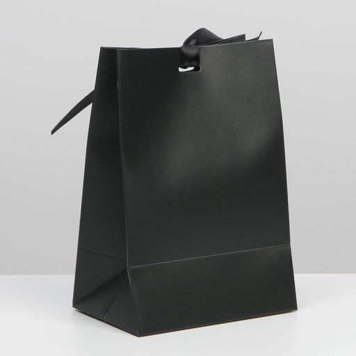 Пакет подарочный с лентой, упаковка, «Чёрный», 13 х 19 х 9 см