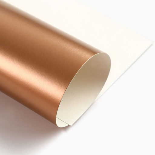 Цена за 2 шт. Цветной картон, А4, 10 листов, 10 цветов, мелованный, односторонний, в папке, 240 г/м², «Смешарики»