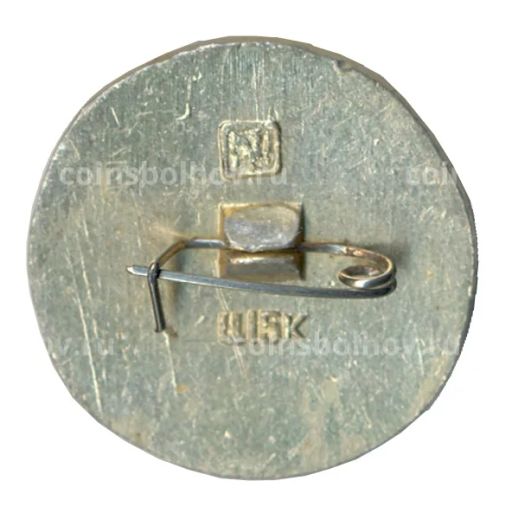 Значок Кострома  Золотое кольцо