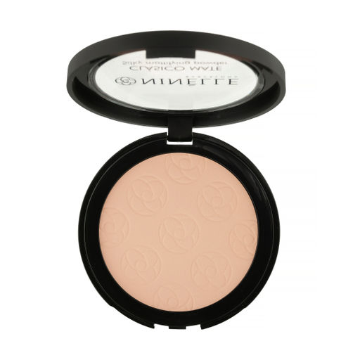 Пудра легкая матовая Clasico Mate, 201 светлый бежевый 1453N11162