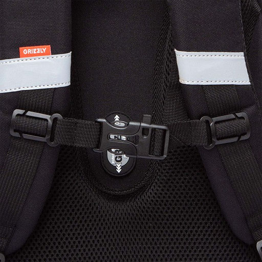 RAz-587-11 Рюкзак школьный - Grizzly фото 24