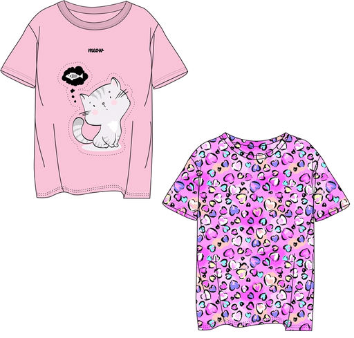 2футболки 2ДДФК5839001н