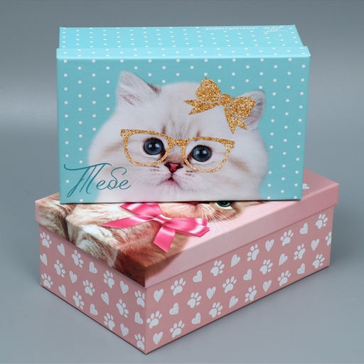 Набор коробок 10 в 1, упаковка подарочная, Яркий, 12?7?4 - 32.5?20?12.5 см