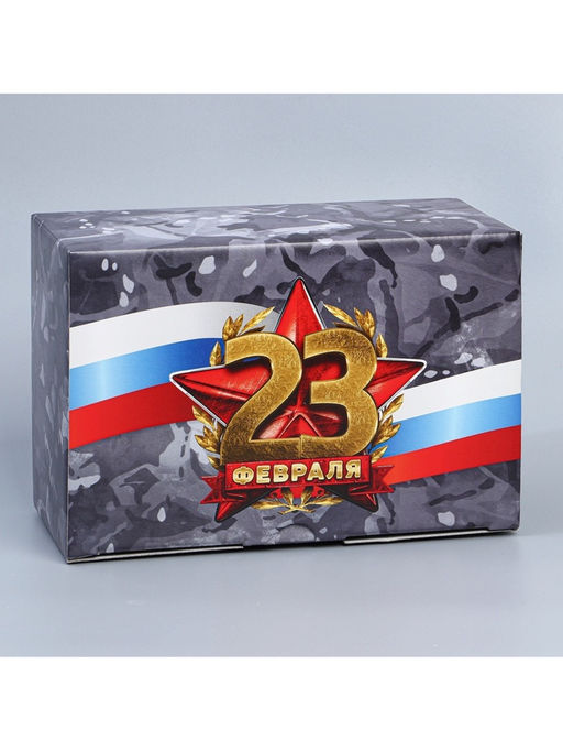 Цена за 2 шт. Коробка подарочная сборная, упаковка, «23 февраля», 22×15×10 см
