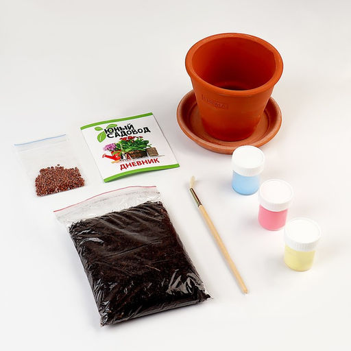 Набор для опытов «Юный садовод: Вырасти редис»