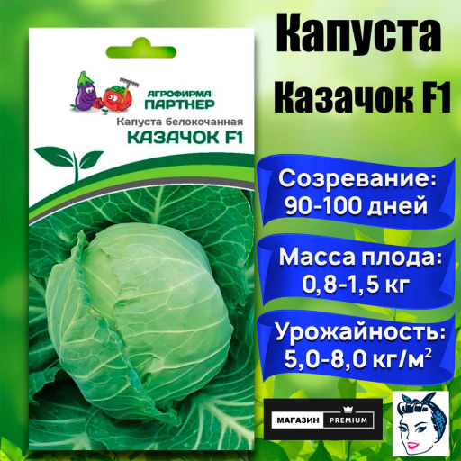 Капуста белокочанная раннеспелая Казачок - Партнер фото 2