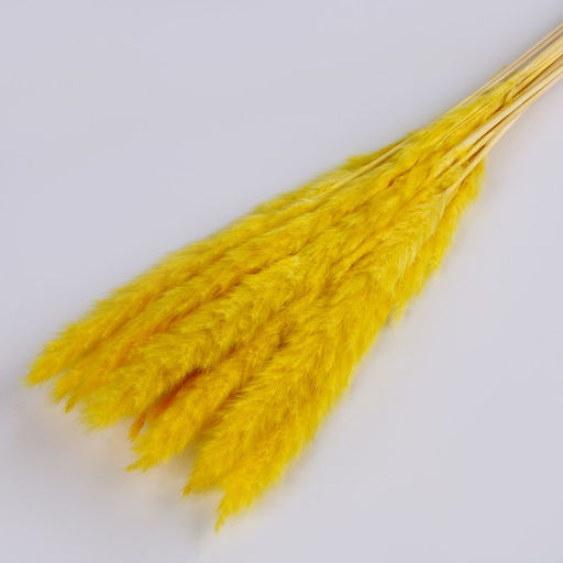 Сухоцвет Камыш набор 15 шт, цвет оранжевый - Simaland фото 3