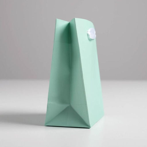 Цена за 3 шт. Пакет подарочный, упаковка, «Мятный», 12×15×5.5