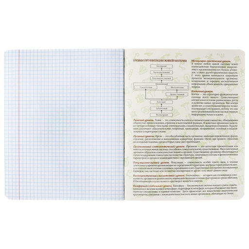 Набор предметных тетрадей 48 листов, Calligrata TOP «Абстракция», 10 предметов