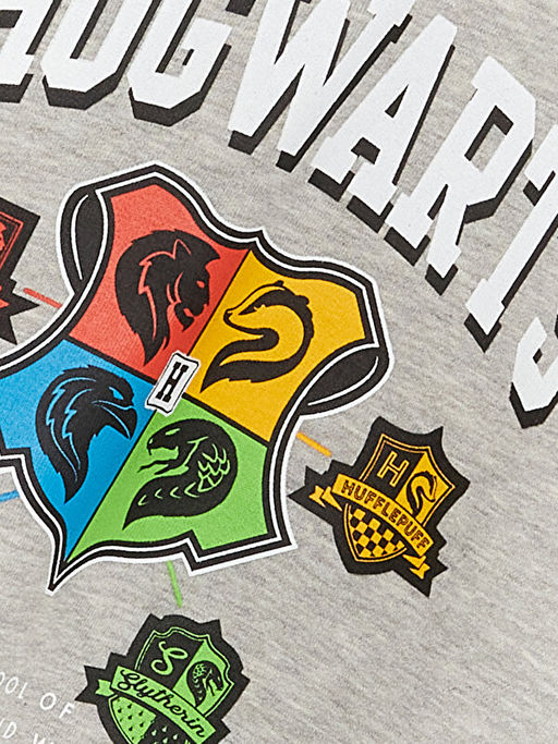 Harry Potter Bask?l? Uzun Kollu Erkek ?ocuk Hoodie - Waikiki фото 2