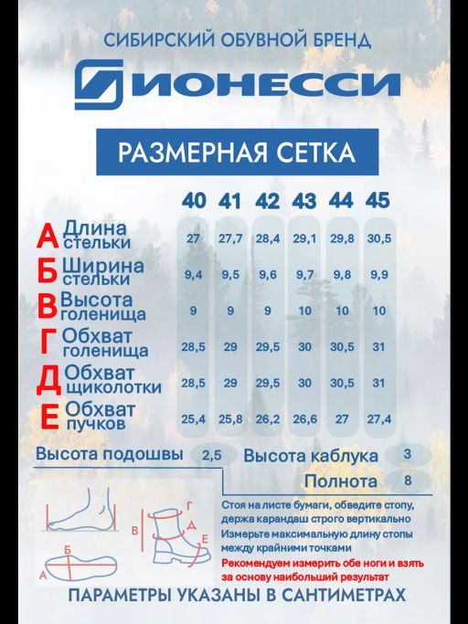 Ботинки Ионесси