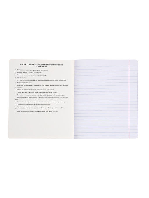 Комплект 12 предметных тетрадей 48 листов, справочная информация, 60 г, Пастель