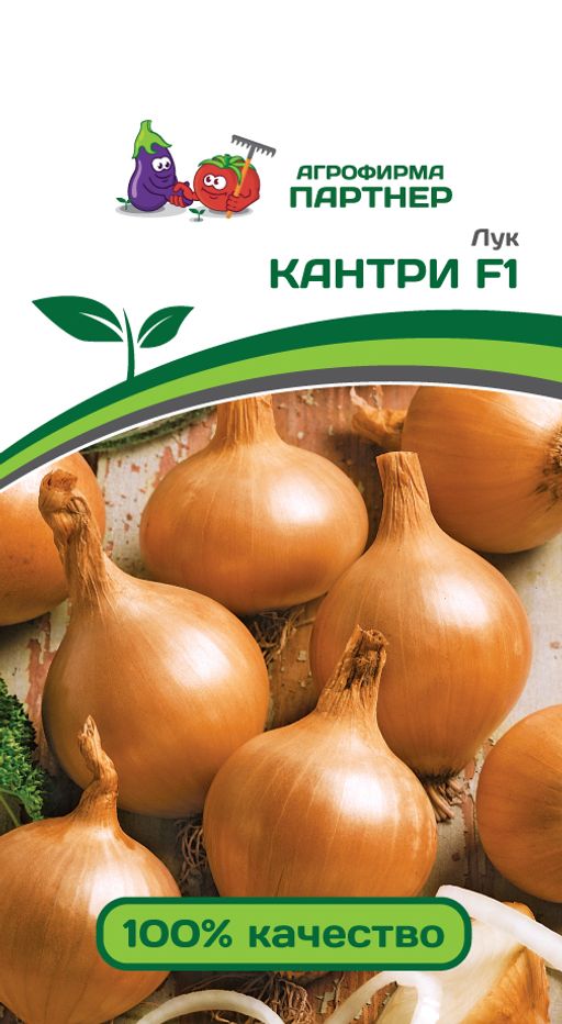 Лук репчатый Кантри