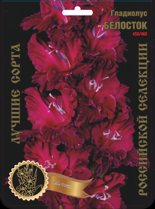 Гладиолус Белосток 1941 458/468,Фотин 1 р-р 7шт (Ф)