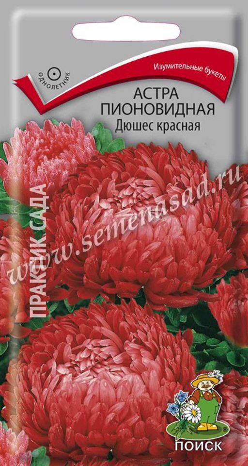 Астра (однолетняя) пионовидная Дюшес красная (ЦВ) ("1) 0,3гр.