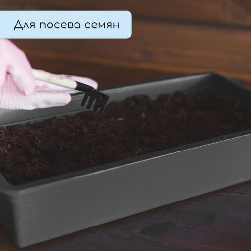 Цена за 3 шт. Ящик для рассады, 50×20×10 см, 6 л, пластик, цвет МИКС, «Урожай-3 м»