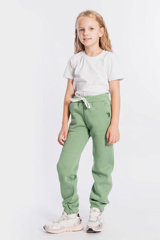 Брюки М222079б Полынь