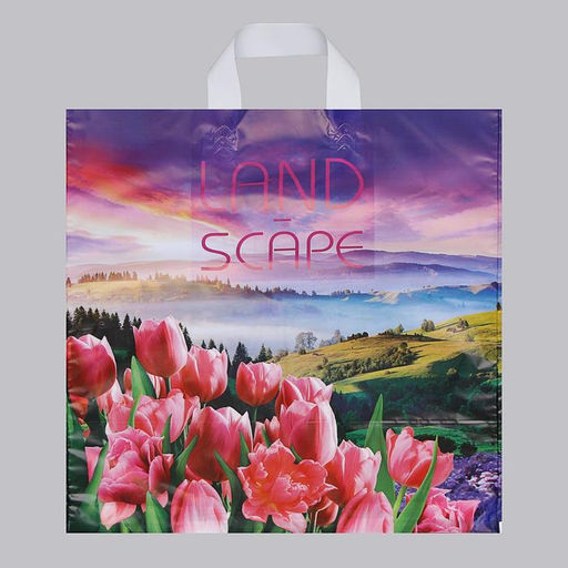 Цена за 25 шт. Пакет «Просторы», полиэтиленовый с петлевой ручкой, 38×42 см, 40 мкм