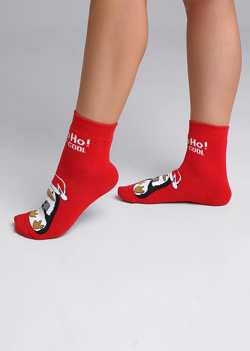 Носки женские НГ плюш - Clever wear фото 3