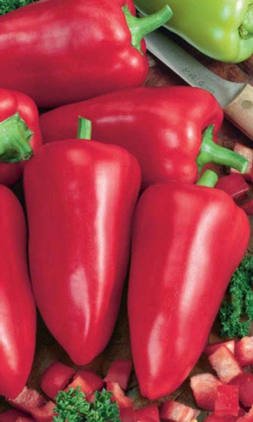 Перец ВИННИ-ПУХ Невероятно ранний и урожайный!