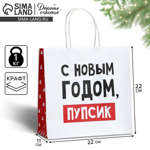 Цена за 2 шт. Пакет подарочный новогодний «С Новым годом, пупсик», 22×22×11 см