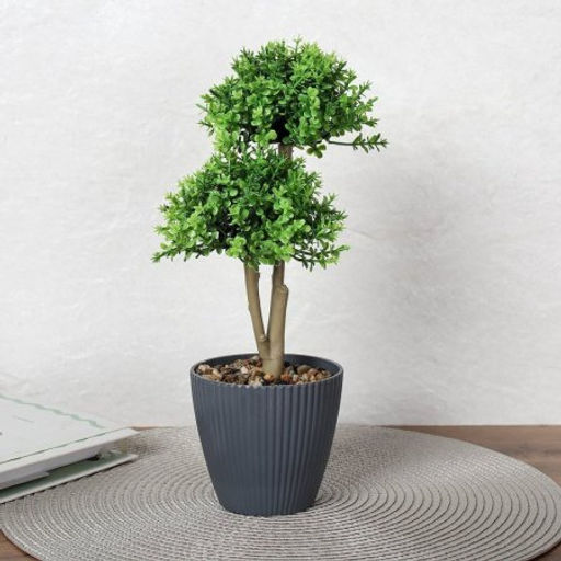 Цветочная композиция Зелень самшит 29 см / 9090-10 /уп 9/72/ - Галеонтрейд фото 4