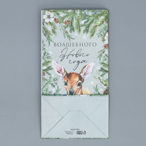 Цена за 10 шт. Пакет подарочный без ручек Волшебного Нового года, 10?19.5?7 см