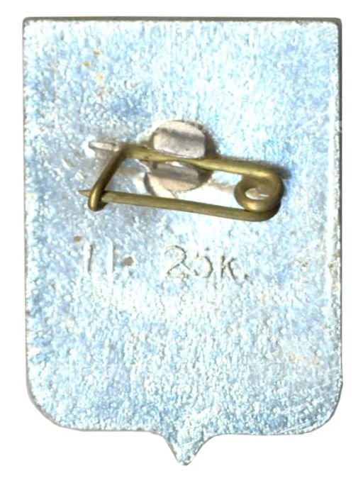 Значок Кострома